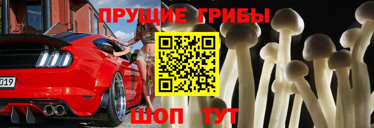 Новоалександровск  Псилоцибиновые грибы Psilocybe  даркнет сайт  Вход с VPN 